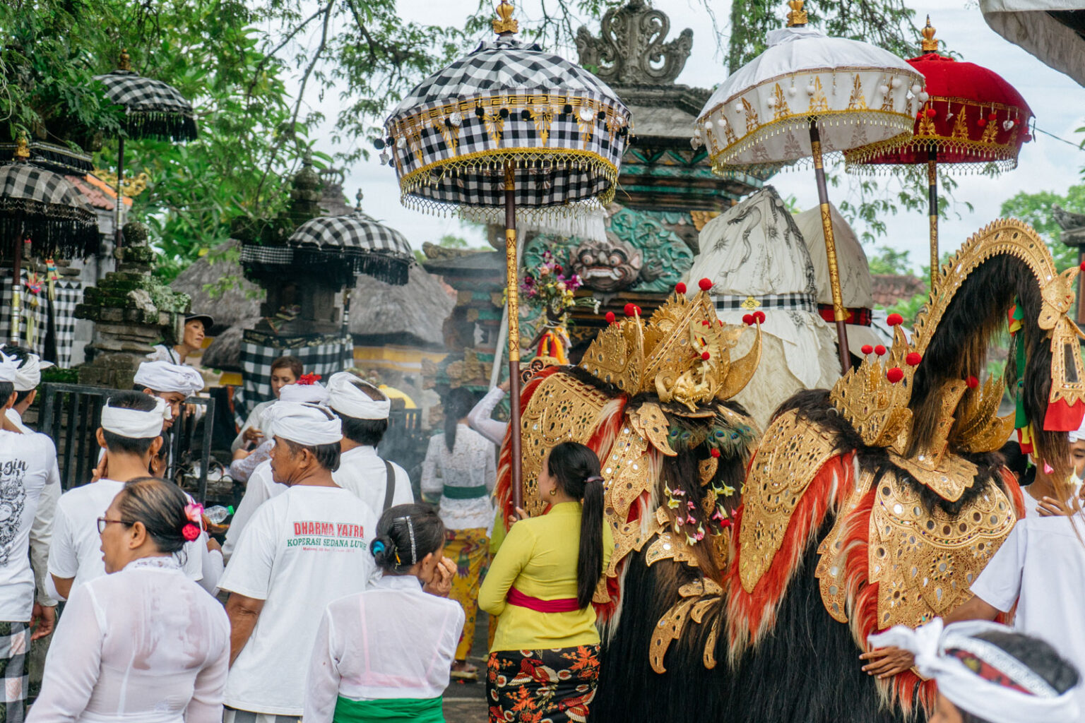 The “Day of Silence” in Bali and Blanketing the World – From Bali to ...